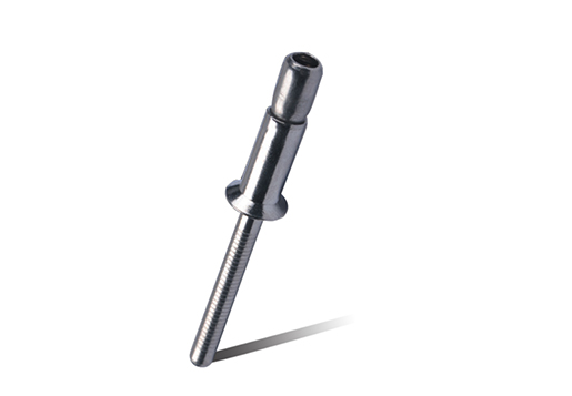 Rostfritt stålkropp och rostfritt stål Mandrel (nu-lock CSK Head)